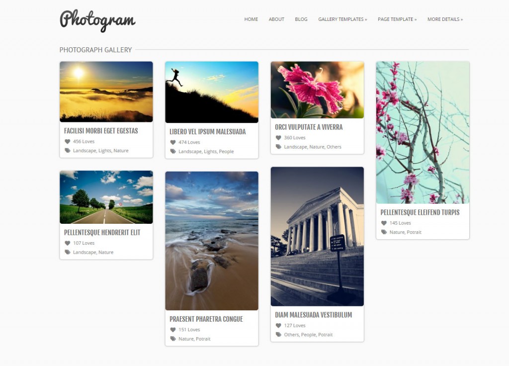 This is a sample of the Photogram theme gallery page.